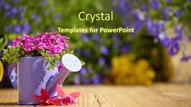  Presentation with wood tools - 