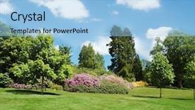  Presentation with summer trees - Slides having outdoor living - trees and lawn background and a light blue colored foreground