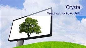  Presentation with ecology - Audience pleasing slides consisting of outdoor media - ecology - advertising billboard backdrop and a sky blue colored foreground
