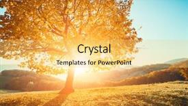  Presentation with autumn morning - PPT theme consisting of outdoor mountains - majestic alone birch tree background and a yellow colored foreground