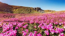  Presentation with sunlight - Slide deck with outdoor vacation explore the world background and a coral colored foreground