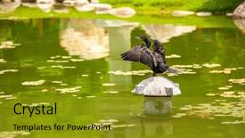  Presentation with black feminism - Theme having black heron in a japanese background and a gold colored foreground