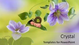  Presentation with newborn baby - Presentation design with outfit sleeping on a clematis background and a yellow colored foreground