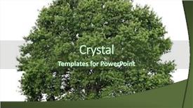  Presentation with green tree - Cool new presentation design with rainbow umbrellas background against a blue sky backdrop and a mint green colored foreground