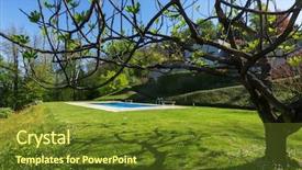  Presentation with modern trees - Presentation consisting of outside of modern house background and a tawny brown colored foreground