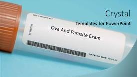  Presentation with parasite - Presentation theme consisting of ova-and-parasite-exam background and a light blue colored foreground
