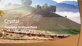  Presentation with transylvania - Presentation design featuring ovelha - idyllic landscape with sheep farm background and a coral colored foreground