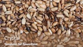  Presentation with sunflower - Audience pleasing presentation consisting of overcooked-peeled-sunflower-seeds-background backdrop and a tawny brown colored foreground