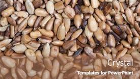  Presentation with sunflower - Audience pleasing PPT theme consisting of overcooked-peeled-sunflower-seeds-background backdrop and a coral colored foreground