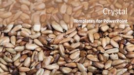  Presentation with sunflower - Colorful presentation design enhanced with overcooked-peeled-sunflower-seeds-background backdrop and a coral colored foreground