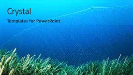  Presentation with fishing net - Audience pleasing slide set consisting of overfishing - fishing net underwater backdrop and a light gray colored foreground