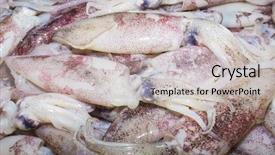  Presentation with overfishing - PPT theme having overfishing - fresh squid at fish market background and a light gray colored foreground