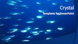  Presentation with overfishing - PPT theme featuring overfishing - shoal of striped mackerel rastrelliger background and a dark gray colored foreground