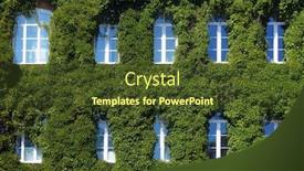  Presentation with ivy - Presentation theme with overgrown lush foliage of boston ivy parthenocissus tricuspidata on building wall around windows background and a tawny brown colored foreground