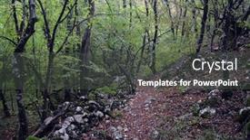  Presentation with masonry - Audience pleasing theme consisting of overgrown-remnants-of-ancient-masonry backdrop and a dark gray colored foreground