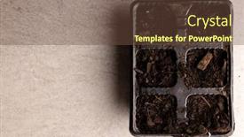  Presentation with horticulture - Slides consisting of overhead-of-seedling-tray-filled background and a tawny brown colored foreground