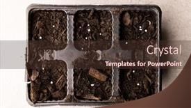  Presentation with horticulture - Presentation theme consisting of overhead-of-seedling-tray-filled background and a tawny brown colored foreground