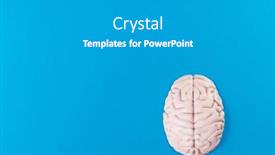  Presentation with blue brain - Presentation design consisting of overhead-of-white-brain background and a light gray colored foreground