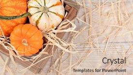  Presentation with wood rustic - Colorful slide deck enhanced with overhead view of a wooden crate with different decorative pumpkins on a rustic wood table with straw horizontal format with copy space backdrop and a lemonade colored foreground