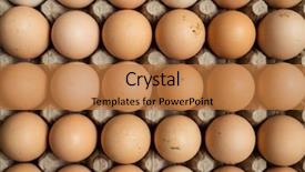  Presentation with organic - Presentation theme having overhead view of free range background and a coral colored foreground