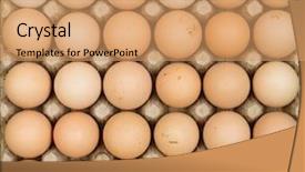  Presentation with organic - Colorful slide deck enhanced with overhead view of free range backdrop and a coral colored foreground