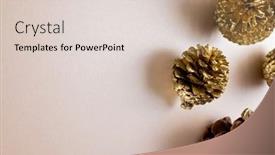  Presentation with pine - Presentation design featuring overhead-view-of-pine-cones background and a  colored foreground