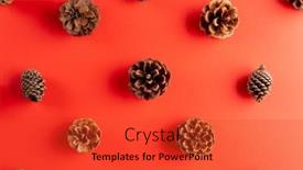  Presentation with pine - Theme with overhead-view-of-pine-cones background and a  colored foreground