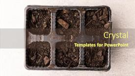  Presentation with seedling - Presentation theme enhanced with overhead-view-of-seedling-tray background and a tawny brown colored foreground