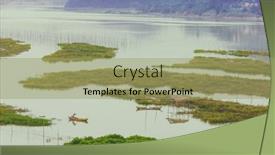  Presentation with mangrove - Cool new theme with overlooking-mangrove-forest-in-sea backdrop and a mint green colored foreground