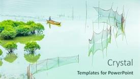  Presentation with mangrove - PPT layouts enhanced with overlooking-mangrove-forest-in-sea background and a cool aqua colored foreground