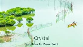  Presentation with mangrove - PPT theme consisting of overlooking-mangrove-forest-in-sea background and a cool aqua colored foreground