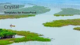  Presentation with mangrove - Cool new PPT theme with overlooking-mangrove-forest-in-sea backdrop and a light blue colored foreground