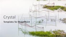  Presentation with mangrove - Amazing theme having overlooking-mangrove-forest-in-sea backdrop and a light gray colored foreground