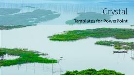  Presentation with mangrove - Audience pleasing theme consisting of overlooking-mangrove-forest-in-sea backdrop and a light blue colored foreground