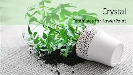  Presentation with house building plans - Amazing PPT layouts having overturned house plant on light backdrop and a mint green colored foreground