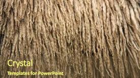  Presentation with sheep - PPT layouts consisting of smiling pharmacist showing product to client healthcare business background and a light gray colored foreground