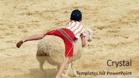  Presentation with rodeo - PPT theme consisting of ovine - child riding a sheep background and a coral colored foreground
