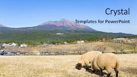  Presentation with pasture - Colorful theme enhanced with ovine - sheep pasture with mount kirishima backdrop and a  colored foreground
