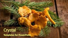  Presentation with lilac flowers bunch over wood - PPT theme consisting of ovum - group of chanterelle mushroom background and a  colored foreground