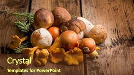  Presentation with pure culture mushroom - PPT theme having ovum - mixed mushroom background and a tawny brown colored foreground