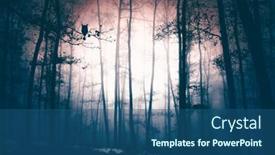  Presentation with enchanted - Slide deck enhanced with owl-in-enchanted-forest background and a ocean colored foreground