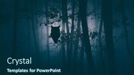  Presentation with enchanted - Slides consisting of owl-in-enchanted-forest background and a navy blue colored foreground