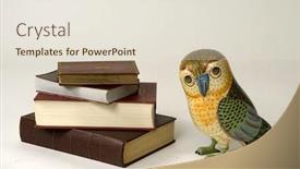  Presentation with wisdom - Presentation consisting of owl near books for wisdom background and a lemonade colored foreground