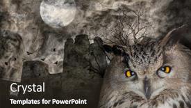  Presentation with dark - Presentation design with owl-on-background-wit-dark background and a tawny brown colored foreground
