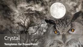  Presentation with moon - Presentation design with owl-on-background-with-dark background and a dark gray colored foreground