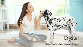  Presentation with dog feeds - Amazing slide deck having owner feeding her dalmatian dog backdrop and a soft green colored foreground