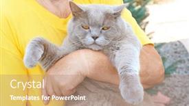  Presentation with cat - Cool new presentation with owner-holding-funny-overweight-cat backdrop and a coral colored foreground