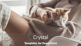  Presentation with winter scene - Colorful slide set enhanced with owner playing with cat one winter weekend girl dressed in knit woolen sweater relaxing with her pet on a armchair in scandinavian home cosy scene hygge concept backdrop and a gray colored foreground