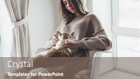  Presentation with winter scene - Slide set featuring owner playing with cat one winter weekend girl dressed in knit woolen sweater relaxing with her pet on a armchair in scandinavian home cosy scene hygge concept background and a gray colored foreground