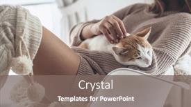  Presentation with winter scene - PPT theme enhanced with owner playing with cat one winter weekend girl dressed in knit woolen sweater relaxing with her pet on a armchair in scandinavian home cosy scene hygge concept background and a gray colored foreground